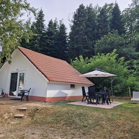 Mon Chalet En Ariege Avec Piscine Daumazan-sur-Arize Exteriér fotografie