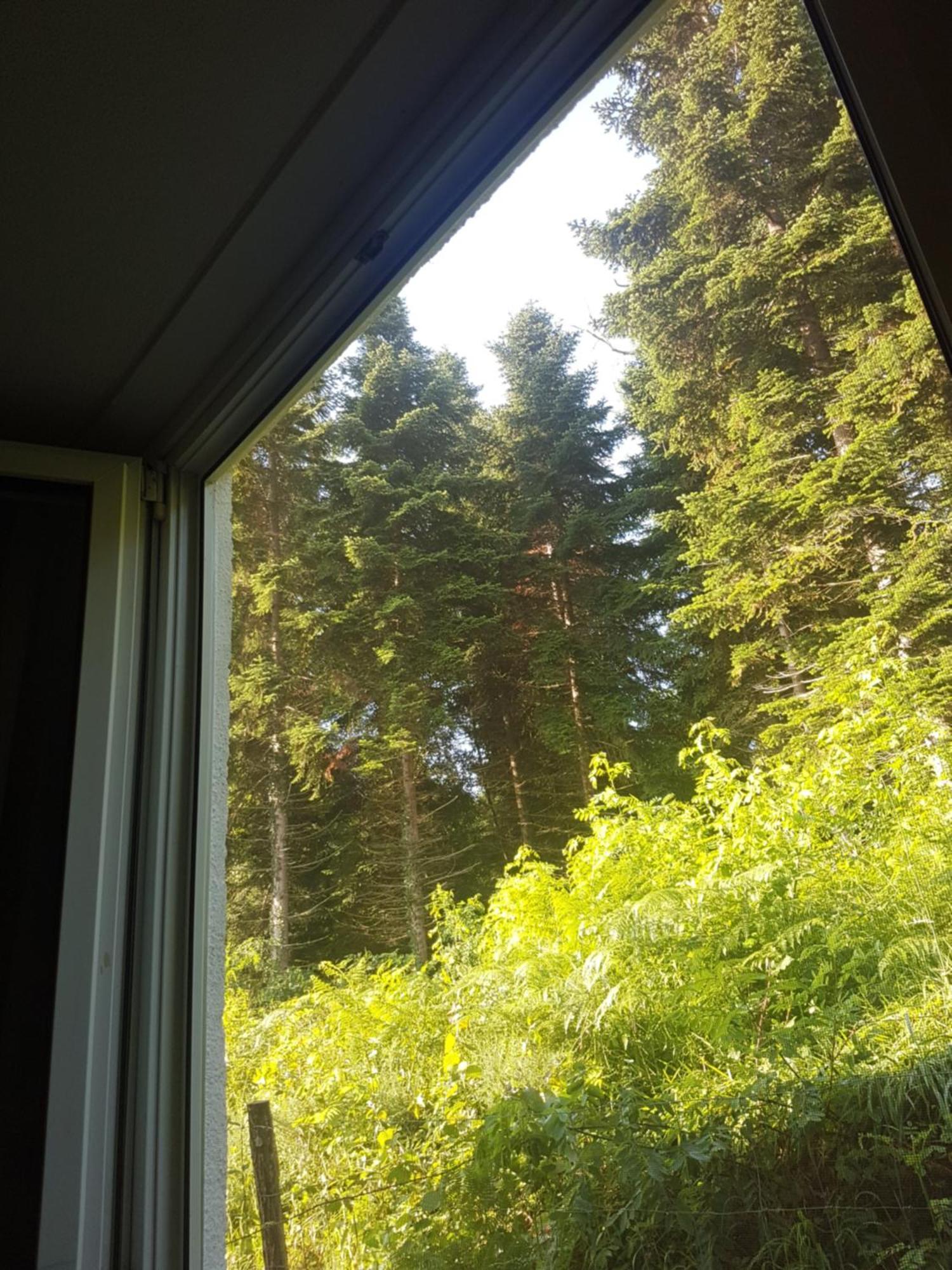 Mon Chalet En Ariege Avec Piscine Daumazan-sur-Arize Exteriér fotografie